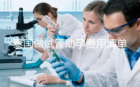 泰國做試管助孕費用清單，涵蓋所有項目分析，幫助你懷孕！