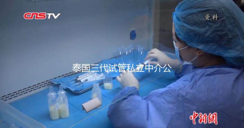 泰國三代試管私立中介公司推薦，排名一目了然，輕松選擇！