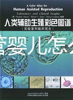 泰國試管嬰兒怎么樣（泰國試管嬰兒好嗎）