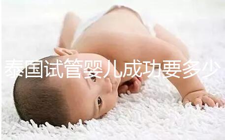 泰國(guó)試管嬰兒成功要多少錢?不成功怎么辦?