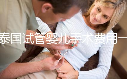 泰國試管嬰兒手術費用一覽，2025年價格行情