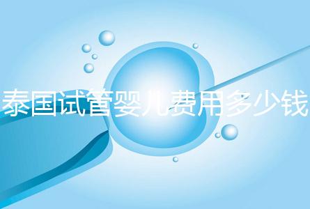 泰國(guó)試管嬰兒費(fèi)用多少錢(泰國(guó)試管嬰兒費(fèi)用多少錢呢)