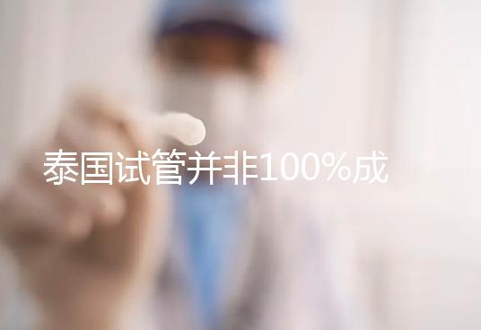 泰國試管并非100%成功!這5個原因都會使胚胎移植失敗
