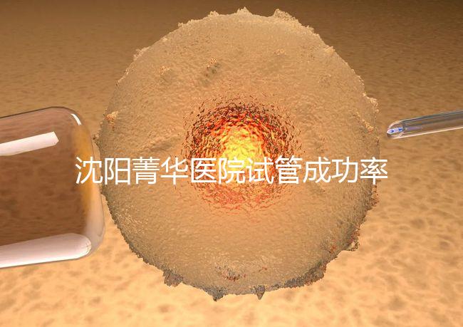 沈陽菁華醫(yī)院試管成功率高嗎?教你4招提升胚胎著床機(jī)會