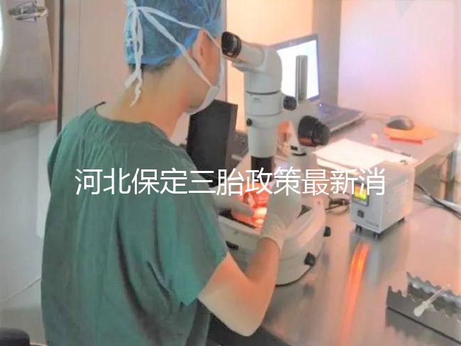 河北保定三胎政策最新消息2024，不造補貼怎么申請看過來