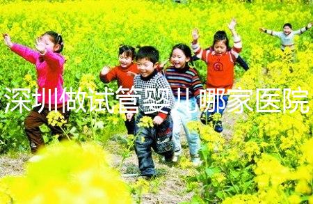 深圳做試管嬰兒哪家醫院好?深圳公立三甲試管嬰兒醫院大全