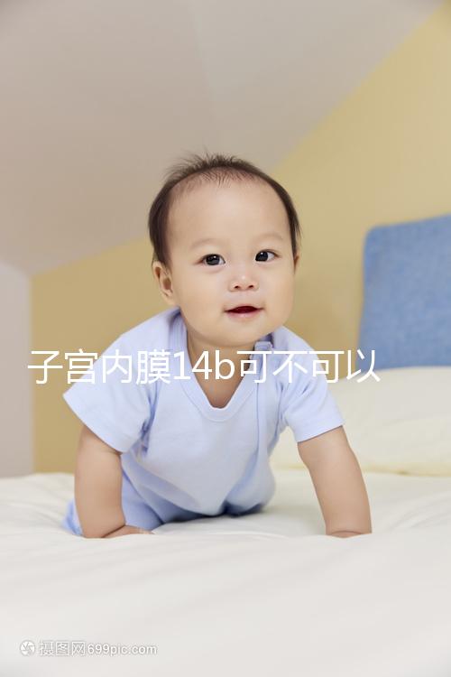 子宮內膜14b可不可以移植囊胚看情況，能否成功只看三點