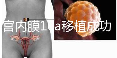 子宮內(nèi)膜10a移植成功率高別還不知道，放入鮮胚厚度剛剛好