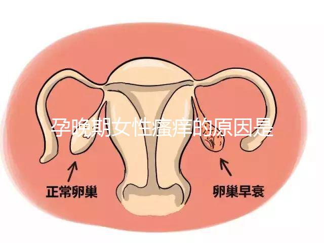 孕晚期女性瘙癢的原因是什么？