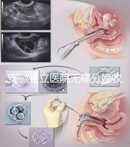 安徽省立醫院無痛分娩收費標準，過來人經歷告訴你怎么樣