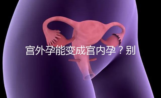 宮外孕能變成宮內孕？別瞎說！會出事兒的！