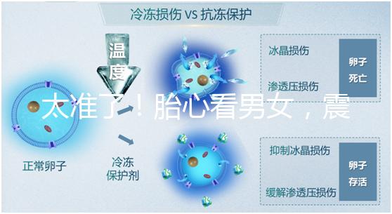 太準了！胎心看男女，震驚結果大于150就一定是女孩