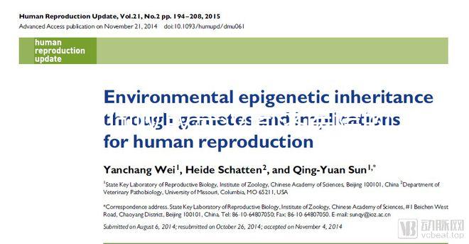 如何收取武漢同濟(jì)醫(yī)院的養(yǎng)囊費(fèi)？查看最新試管費(fèi)用明細(xì)估算？