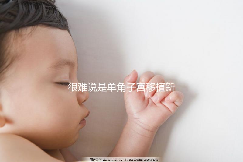 很難說(shuō)是單角子宮移植新鮮胚胎還是囊胚了解成功率是很清楚的