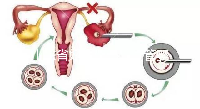 山東省婦幼保健院試管嬰兒怎么樣，新版助孕成功率數據公布