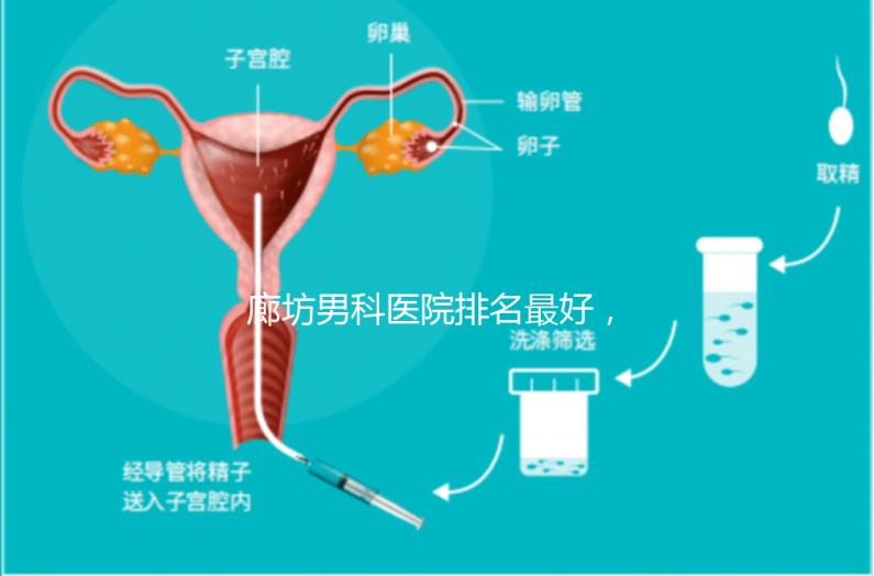 廊坊男科醫(yī)院排名最好，醫(yī)院出爐！廣陽這些機構可以排隊