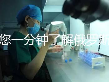 帶您一分鐘了解俄羅斯試管中心的費用明細，快速收集！