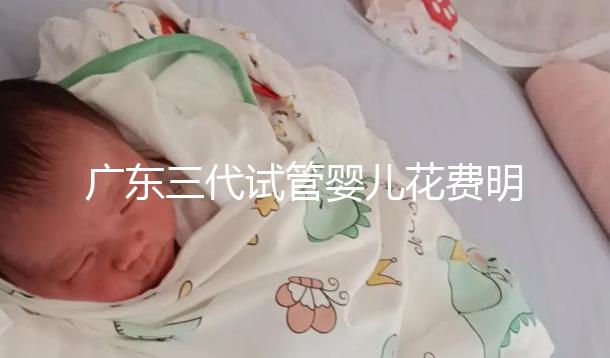 廣東三代試管嬰兒花費明細：8-15萬元，2025價格構成公布