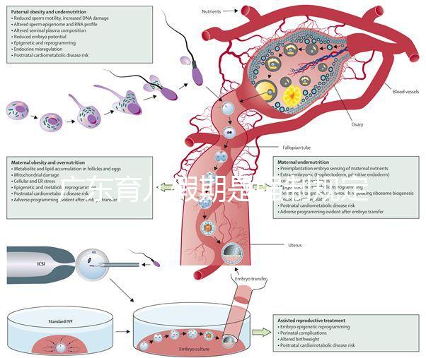 廣東育兒假期是強制規(guī)定!深圳包不包括雙休日這均有答復(fù)