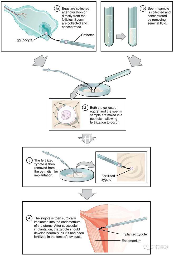 廣東10家三代試管醫院的熱度排名！
