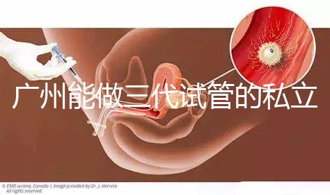 廣州能做三代試管的私立醫院排名一覽表，看看你心儀的在不在其中