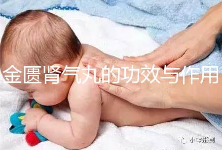 金匱腎氣丸的功效與作用適用人群（金匱腎氣丸的功效與作用適用人群一）