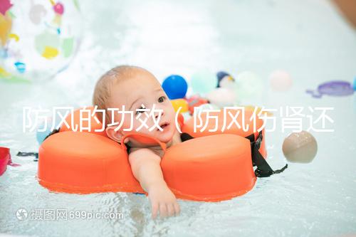 防風(fēng)的功效（防風(fēng)傷腎還是補(bǔ)腎）