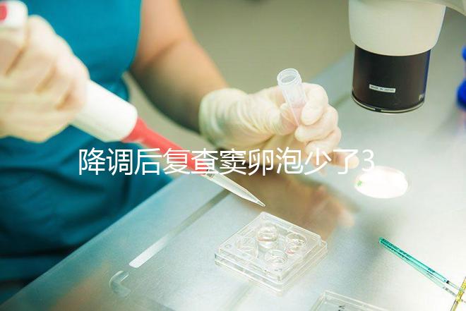 降調后復查竇卵泡少了3個正不正常看這三點，附解決方案