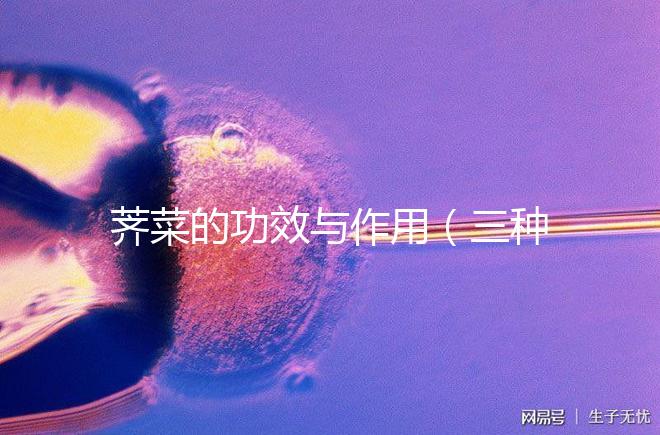 薺菜的功效與作用（三種人不宜吃薺菜）