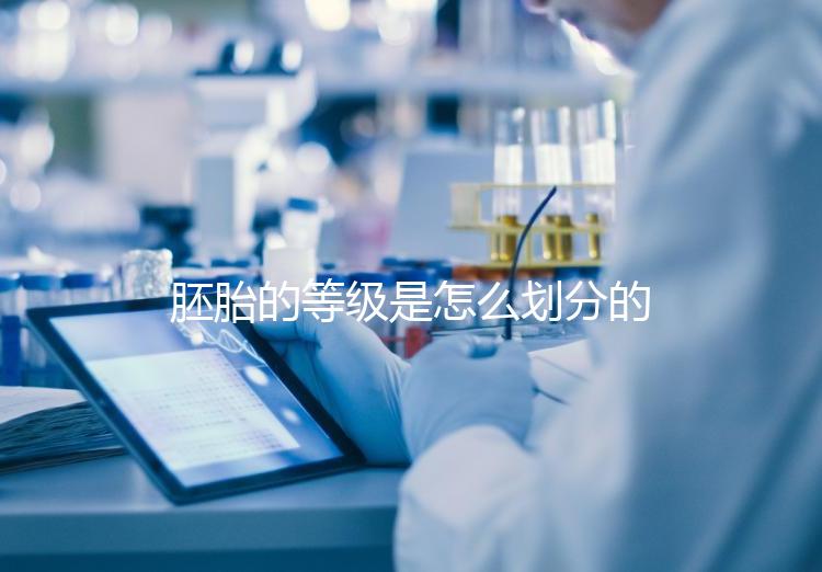 胚胎的等級是怎么劃分的?詳解3天胚胎與5天囊胚的評估標準