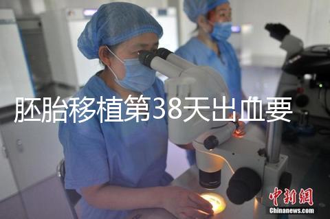 胚胎移植第38天出血要重視,約30%的孕婦會有流產(chǎn)風(fēng)險