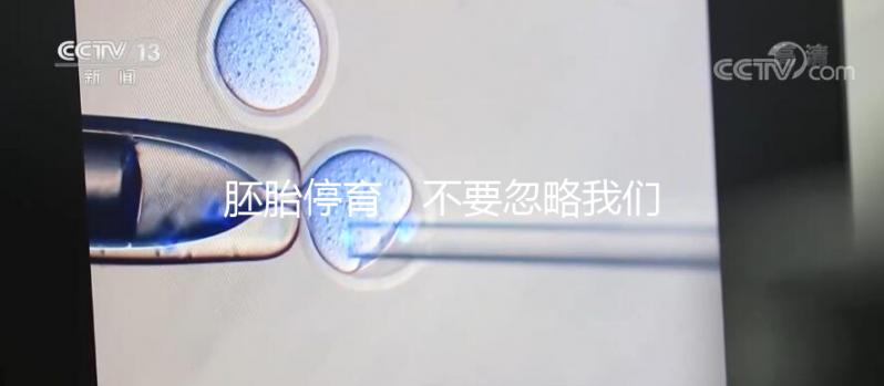 胚胎停育，不要忽略我們身邊的“隱形殺手”