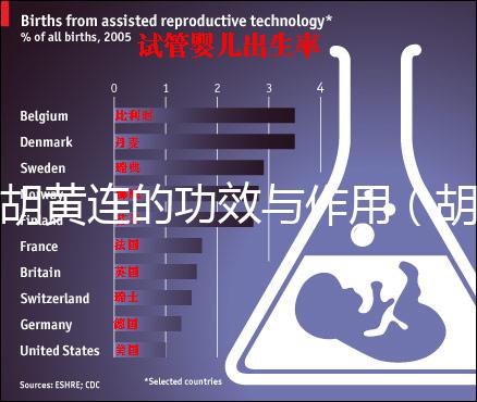 胡黃連的功效與作用（胡豆連的功效與作用）
