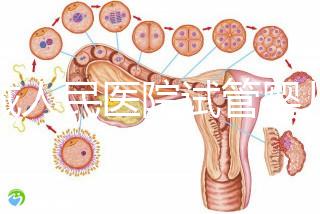 聊城人民醫(yī)院試管嬰兒成功率怎么樣，3大助孕案例告訴你答案