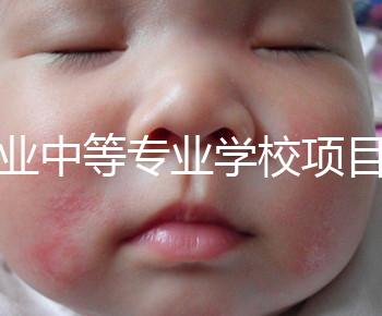 職業中等專業學校項目（中等職業學校專業建設規劃實施方案）