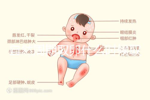 自然周期取卵什么時候??？最佳時間應控制在這個時候