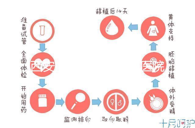 西安能做試管嬰兒的醫院哪家成功率最高？本地Top 5推薦
