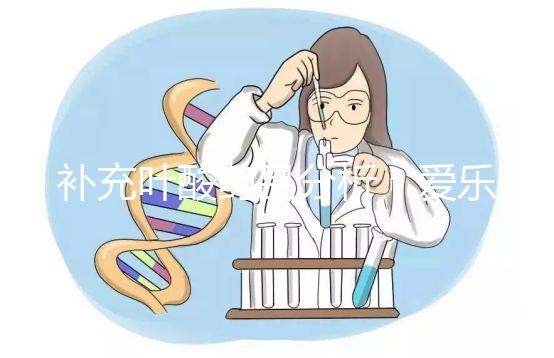 補(bǔ)充葉酸藥品分析：愛樂維和斯利安哪個(gè)孕期更需？