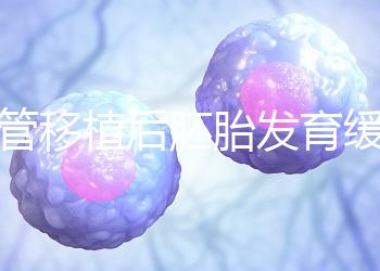 試管移植后胚胎發育緩慢，甚至胎停咋回事？3大高危因素要規避