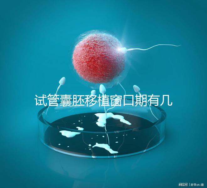 試管囊胚移植窗口期有幾天看這，弄明白什么時(shí)候更易著床