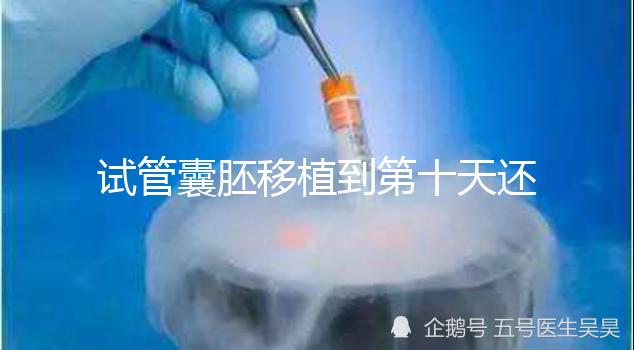 試管囊胚移植到第十天還是白板別擔(dān)心，放松心態(tài)等逆襲吧！
