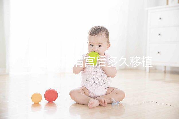 試管流產清宮后多久移植？半年還是兩個月看大家怎么說...
