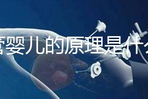 試管嬰兒的原理是什么?一代二代三代有什么區別?