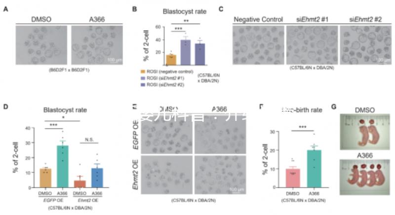 試管嬰兒科普：介紹試管嬰兒的基本概念、原理、分類、適應(yīng)癥、優(yōu)勢(shì)等