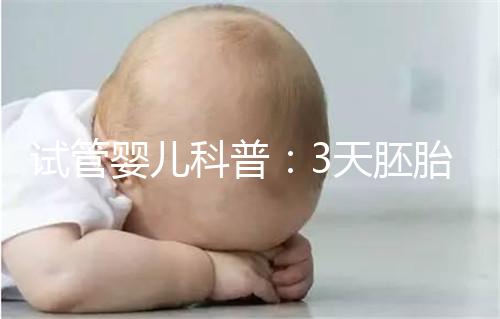 試管嬰兒科普：3天胚胎和5天囊胚，哪個(gè)移植成功率更高