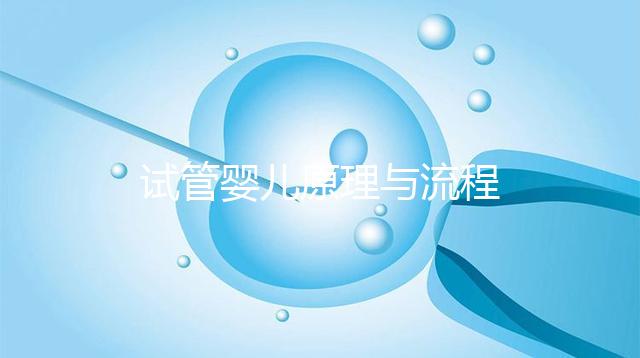 試管嬰兒原理與流程