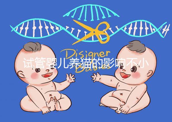 試管嬰兒養貓的影響不小，這三大危害一文說清楚