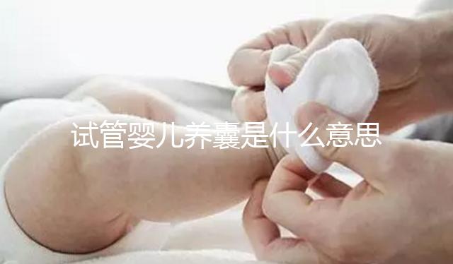 試管嬰兒養囊是什么意思？胚胎培養3天和5天的區別