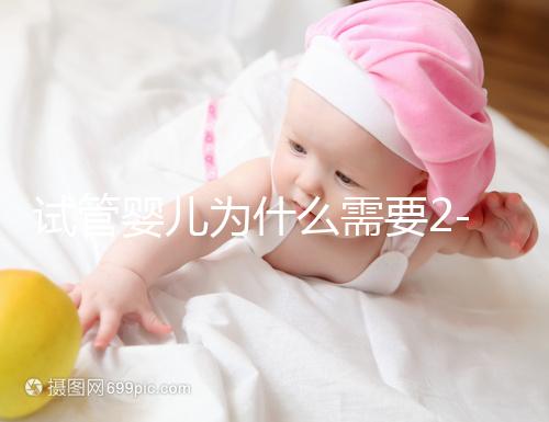 試管嬰兒為什么需要2-3個月？揭秘時間背后的科學奧秘