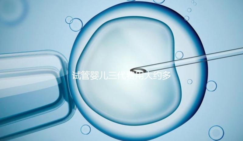 試管嬰兒三代費用大約多少？